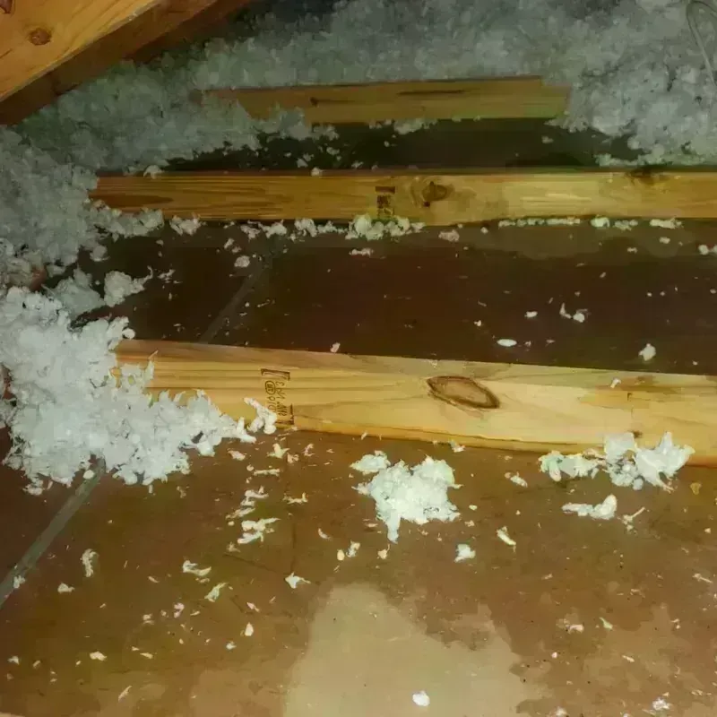 Attic Water Damage in Gonzales County, TX