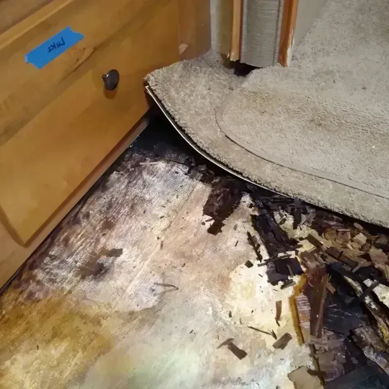 Wood Floor Water Damage in Gonzales County, TX